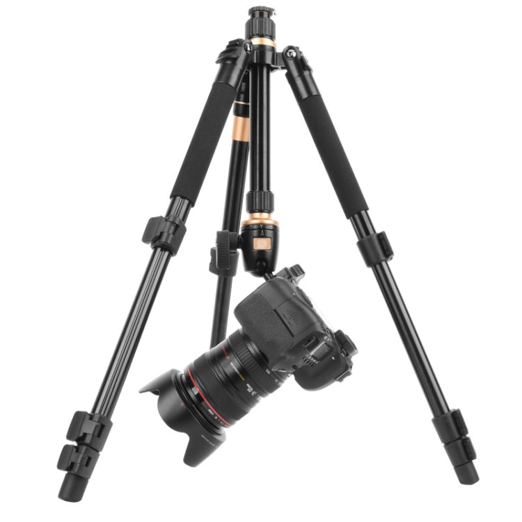 Q555 4-Section Folding Legs Aluminum Alloy Tripod Mount Monopod Holder with Ball Head