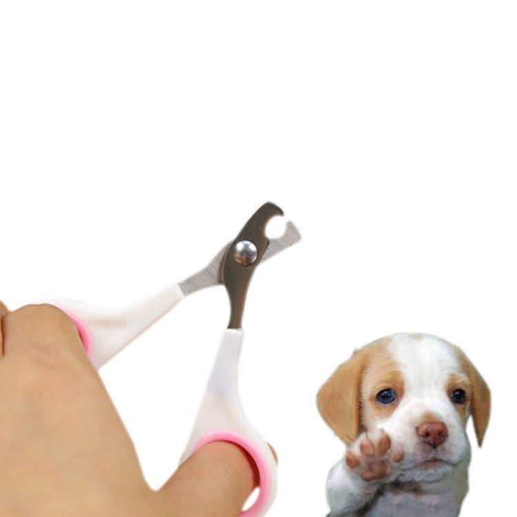 10 PCS Pet Animal Dog Cats Bird Toe Claw Stainless Steel Grooming Nail Clippers Scissors Trimm(Random Color Delivery)