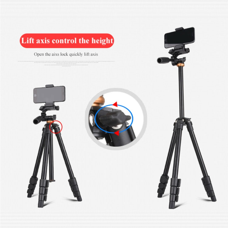 Q160a 4-Section Folding Legs Live Broadcast Aluminum Alloy Tripod Mount with Three-dimensional Tripod Heads & Wireless Remote Control