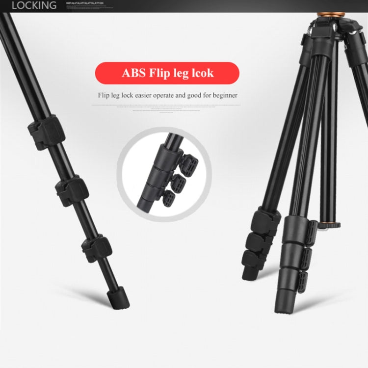 Q160a 4-Section Folding Legs Live Broadcast Aluminum Alloy Tripod Mount with Three-dimensional Tripod Heads & Wireless Remote Control