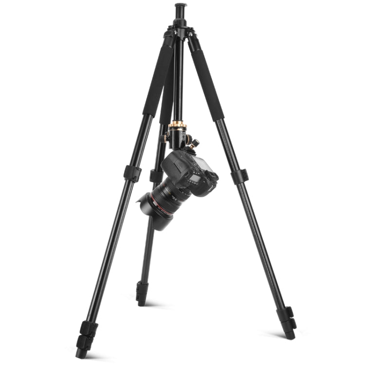 Q338 4-Section Folding Legs Live Broadcast Aluminum Alloy Tripod Mount With Three-dimensional Head