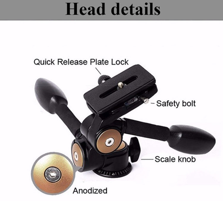 Q620 4-Section Folding Legs Heavy Duty Aluminum Alloy Tripod With Three-Dimensional Damping Tripod Heads