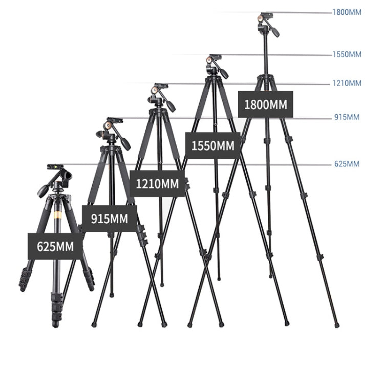 Q620 4-Section Folding Legs Heavy Duty Aluminum Alloy Tripod With Three-Dimensional Damping Tripod Heads