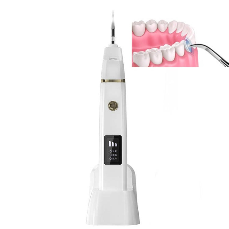 Dental Calculus Remover Ultrasonic Dental Scaler