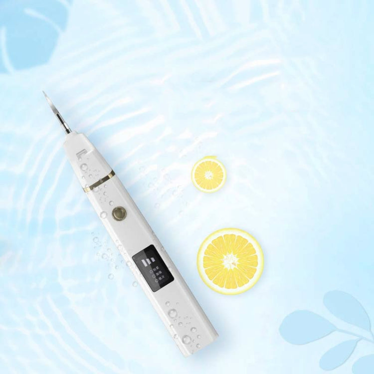 Dental Calculus Remover Ultrasonic Dental Scaler