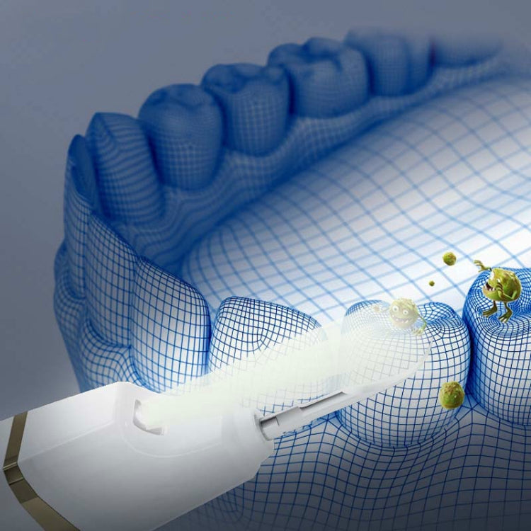 Dental Calculus Remover Ultrasonic Dental Scaler