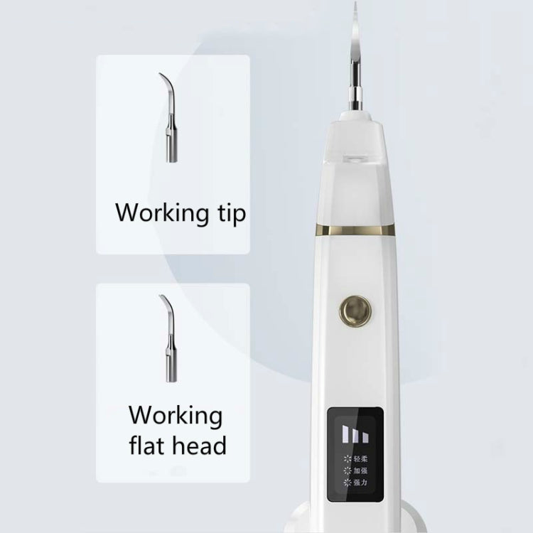 Dental Calculus Remover Ultrasonic Dental Scaler
