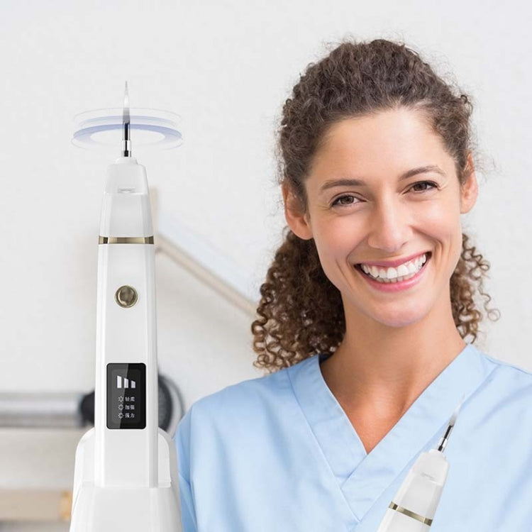 Dental Calculus Remover Ultrasonic Dental Scaler