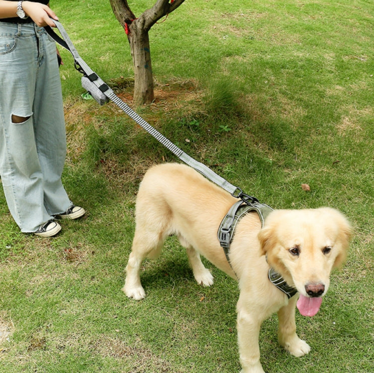 Dog Outdoor Anti-Scourge Traction Rope Nylon Reflective Elastic Stretch Dog Walking Rope