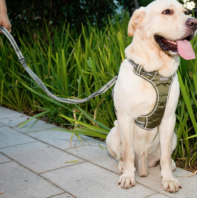 Dog Outdoor Anti-Scourge Traction Rope Nylon Reflective Elastic Stretch Dog Walking Rope