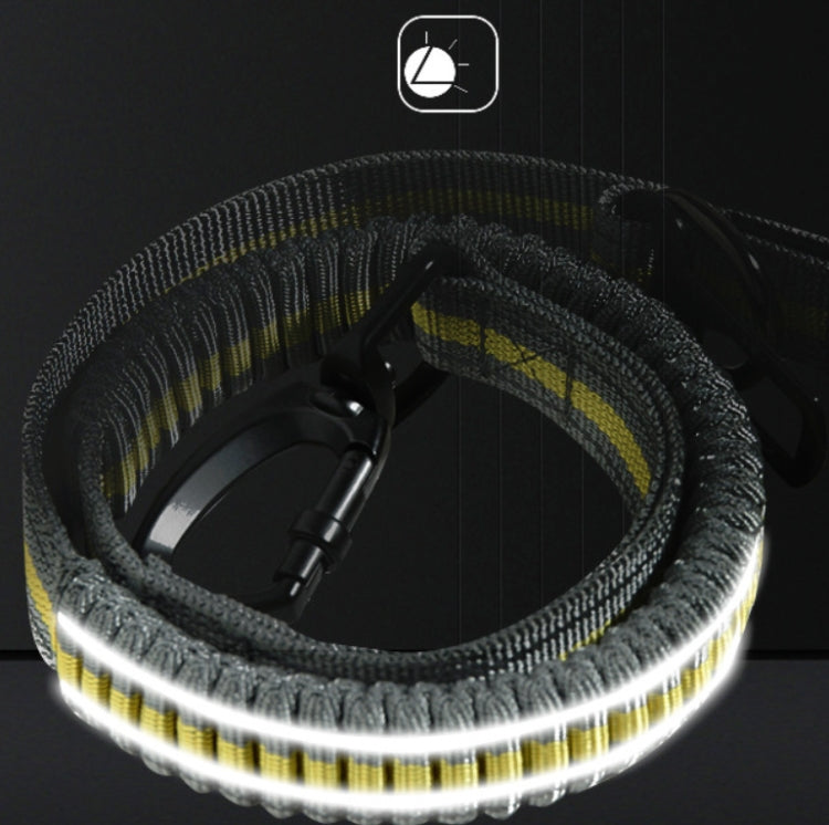 Dog Outdoor Anti-Scourge Traction Rope Nylon Reflective Elastic Stretch Dog Walking Rope