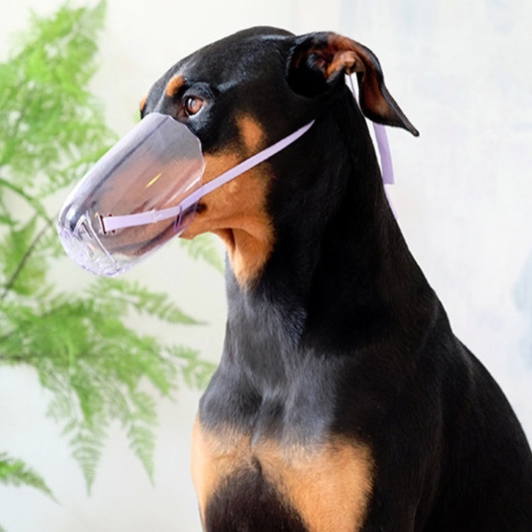 Pets Bathing Injection Anti-Bite Transparent Muzzle, Size:S