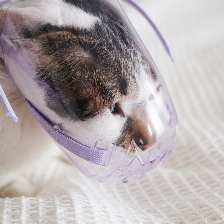 Pets Bathing Injection Anti-Bite Transparent Muzzle, Size:S
