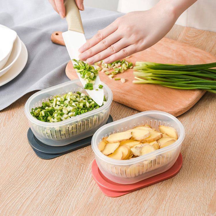 3 PCS Kitchen Chopped Green Onion Storage Box Refrigerator Food Storage Box Transparent Drain Sealed Box(Mint Green)