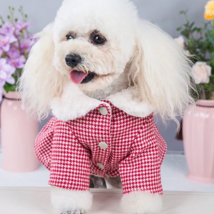 Doll Collar Plus Velvet Warm Pet Cat And Dog Woolen Cloth Princess Dress Without Leash, Size: XL