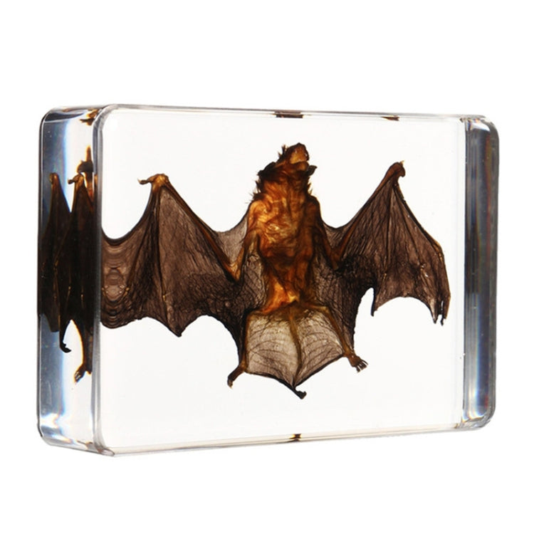 Acrylic Lucite Transparent Bat Specimens Animal Insect Bat Amber Educational Teach Supply Biological Collection 87x57x20mm