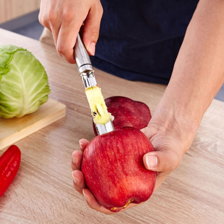 304 Stainless Steel Fruit Apple Corer(Silver)