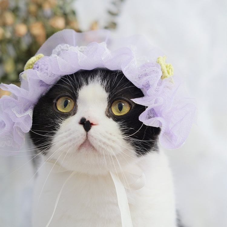 2 PCS Cute Cat Hat Dog Headdress Maid Birthday Hat Lace Headdress Photo Accessories