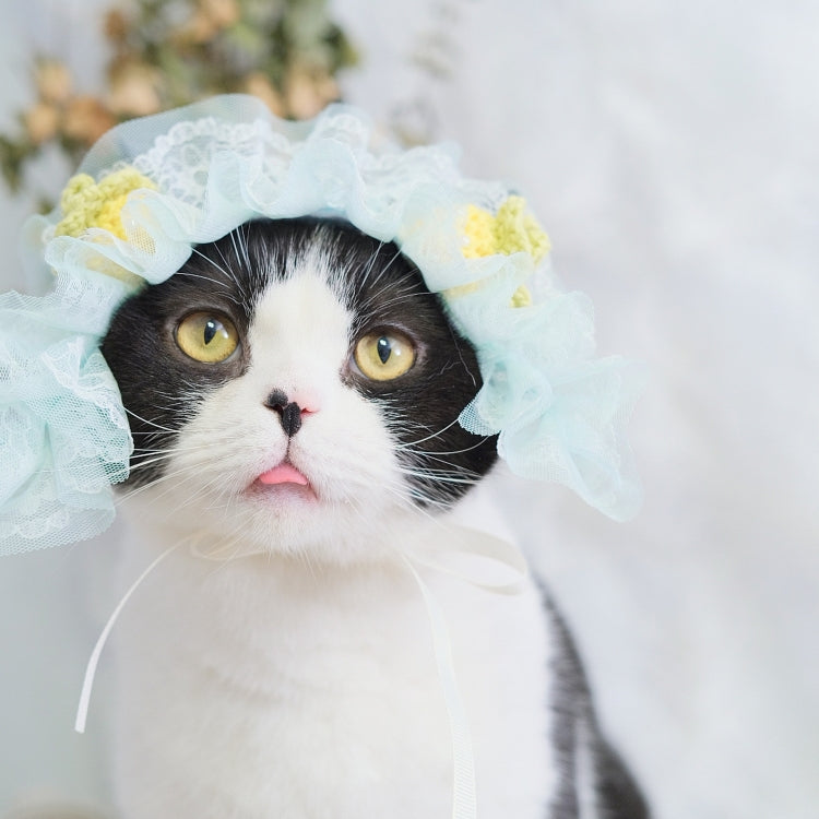 2 PCS Cute Cat Hat Dog Headdress Maid Birthday Hat Lace Headdress Photo Accessories