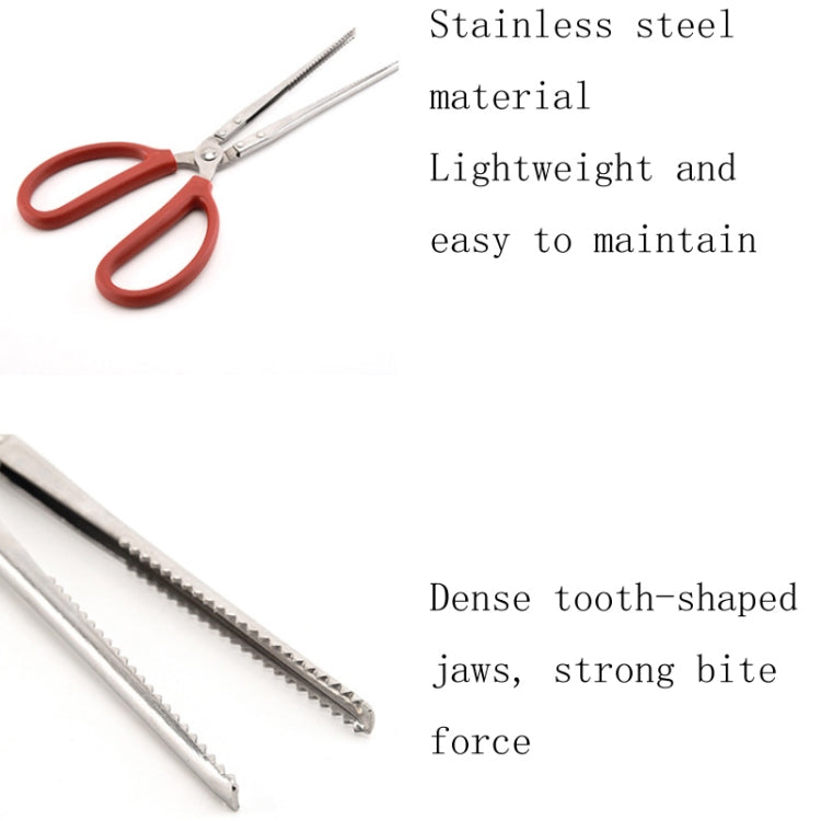 Crab Tongs Loach Tongs Sea Tool, Model: 53cm Curved Clip