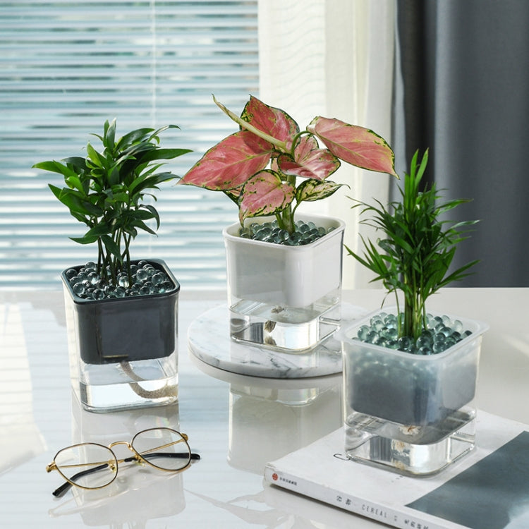 Green Radish Hydroponic Flowerpot Plastic Transparent Non-Porous Plant Automatic Water Absorption  Succulent Flowerpot