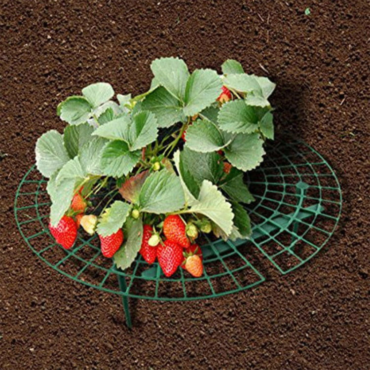 10 PCS Strawberry Stand Balcony Gardening Stand Plant Climbing Pillar