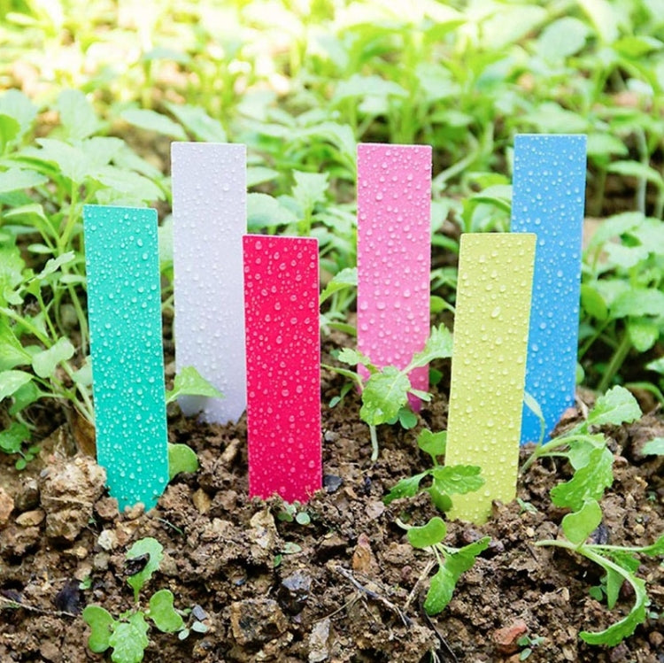 3 Packs Gardening Label Inserting The Ground Sign Plant Name Handwritten Sign, Random Color Delivery