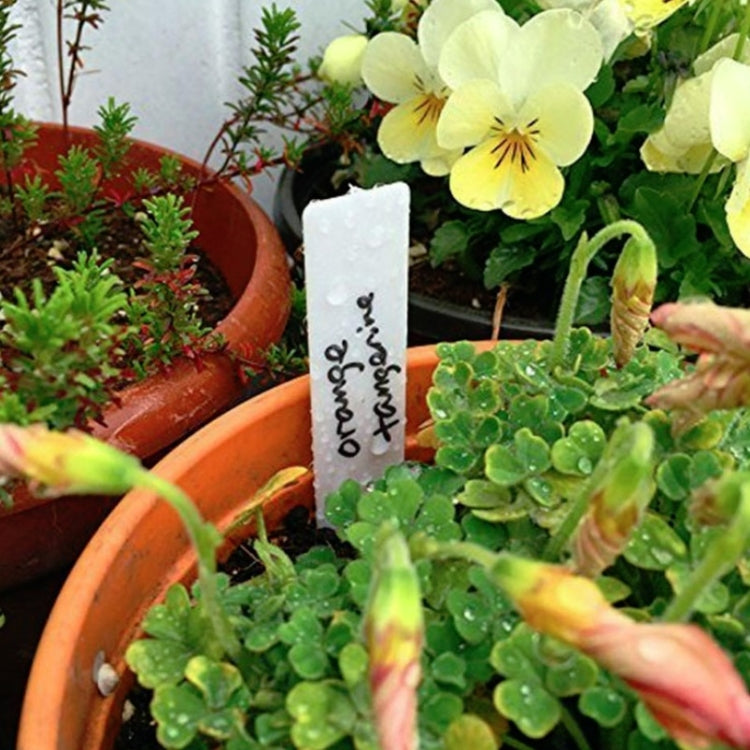 3 Packs Gardening Label Inserting The Ground Sign Plant Name Handwritten Sign, Random Color Delivery