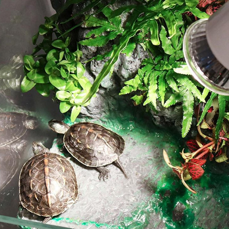 UVA+UVB Full Spectrum Solar Reptile Lamp Lizard Light Turtle Basking Lamp, Specification: 50W