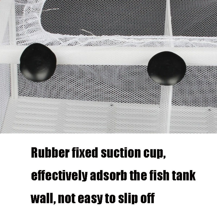 Large With Clapboard Incubator Small Fish Isolation Box Net Tropical Fish Breeding Box