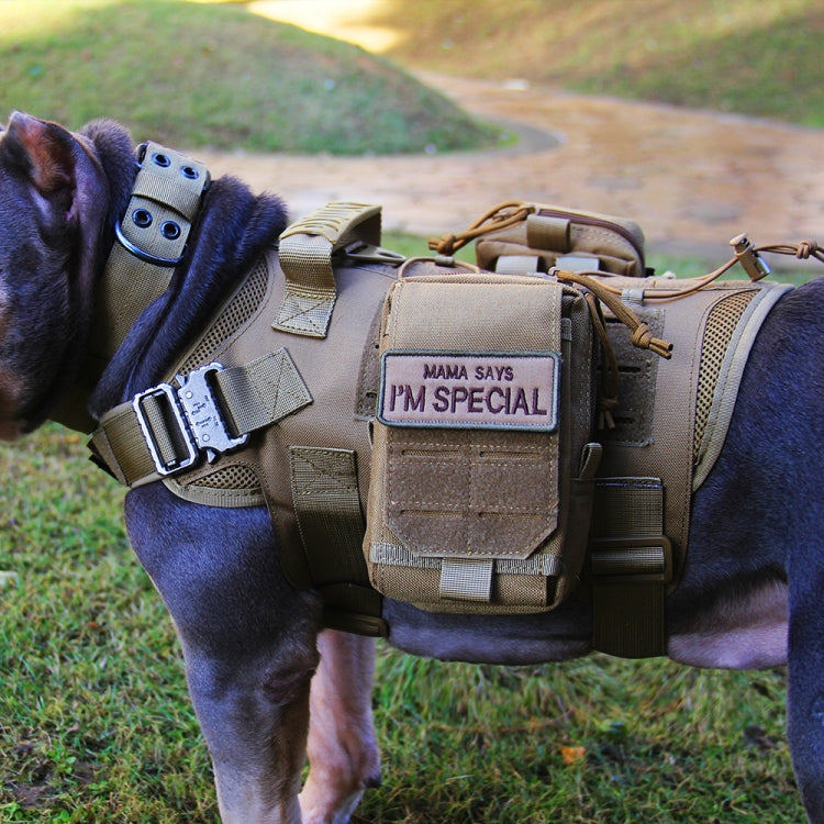 Training Dog Vest Outdoor Equipment Pet Clothes, Size: M