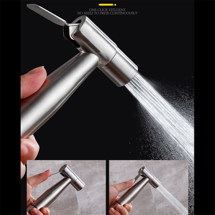 Stainless Steel One-In-Two-Out Multi-Function Three-Way Valve Faucet, Specification: Spray Gun Set