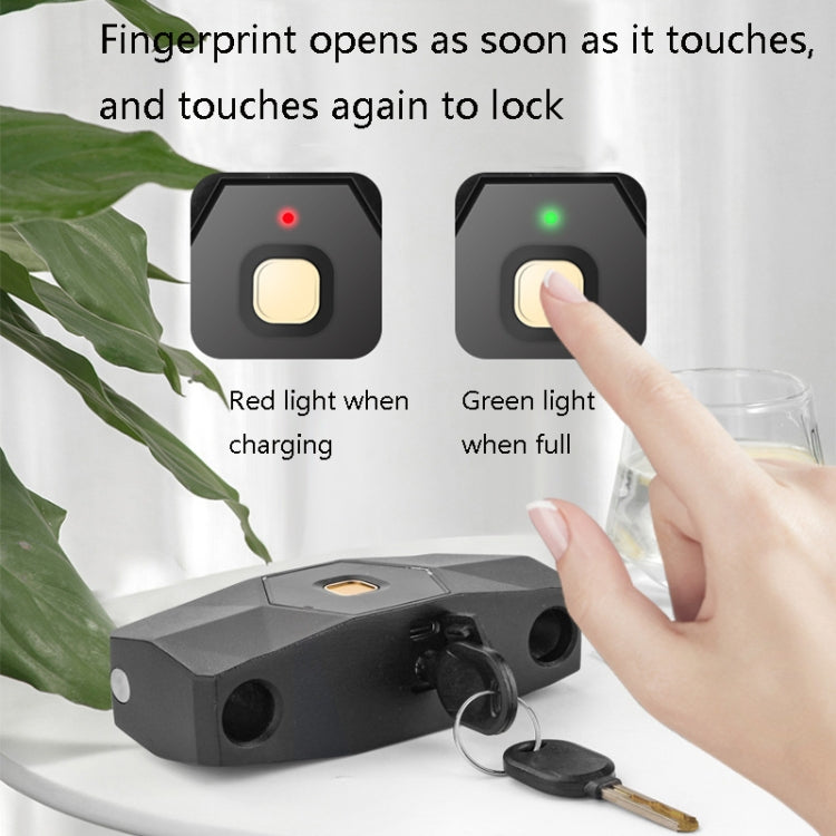 Smart Bluetooth Fingerprint U-Shaped Glass Door Lock Anti-Shear Anti-Theft Lock Extended Outdoor Waterproof U-Shaped Lock, Specification: U5 (Fingerprint+APP+Key)