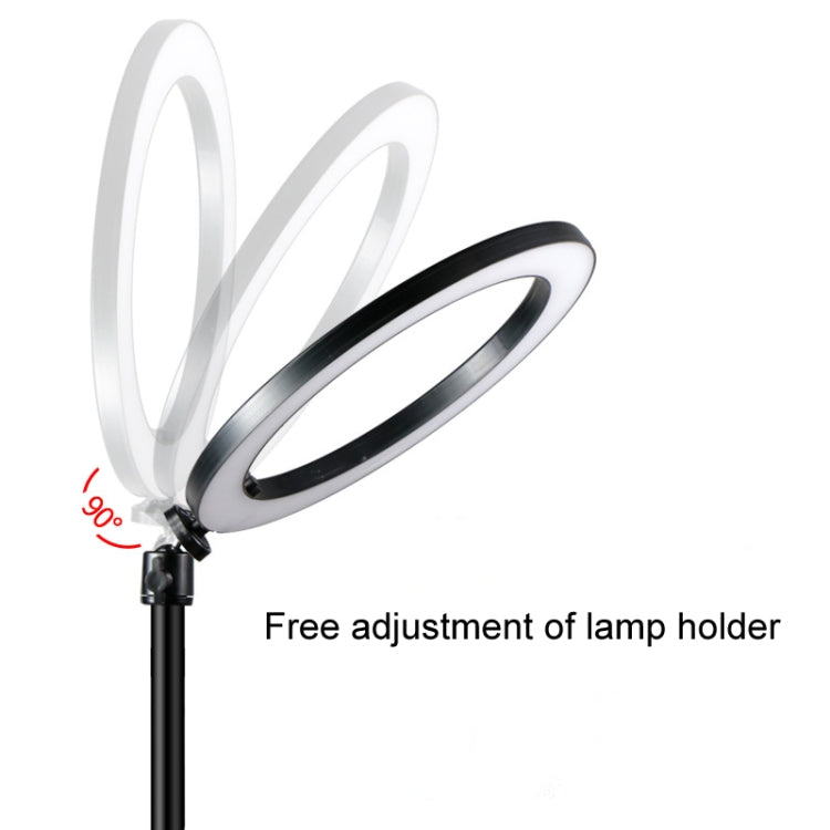 Mobile Phone Live Broadcast Stand Anchor Selfie Beauty Four-Position Desktop Stand, Specification: Stand+26cm Fill Light