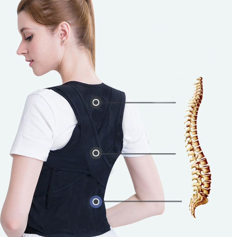 Male And Female Adult Kyphosis Correction Belt Student Sitting Posture Abdomen Correction Belt, Specification: 2XL
