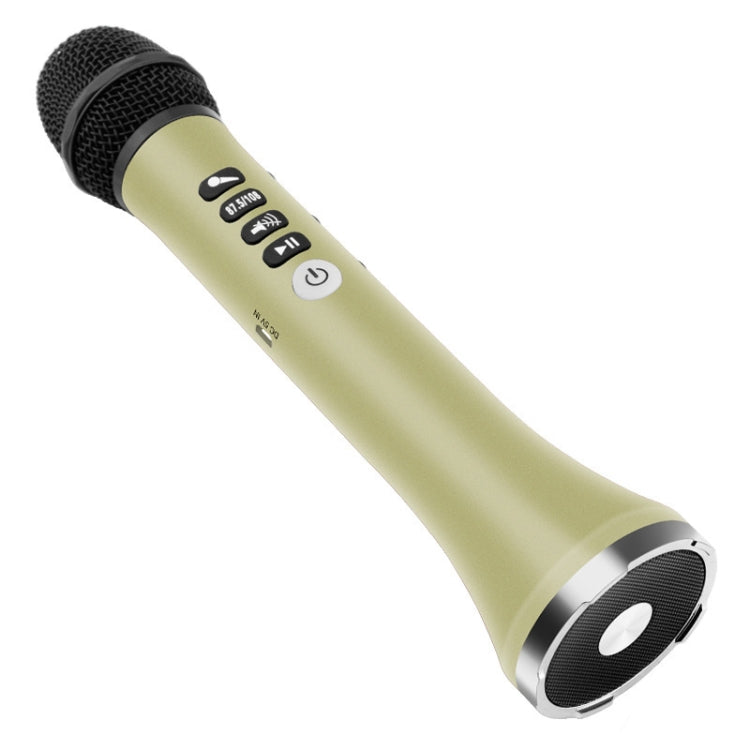 FM Radio Frequency Connection Car Home Entertainment Wireless Integrated Microphone Audio