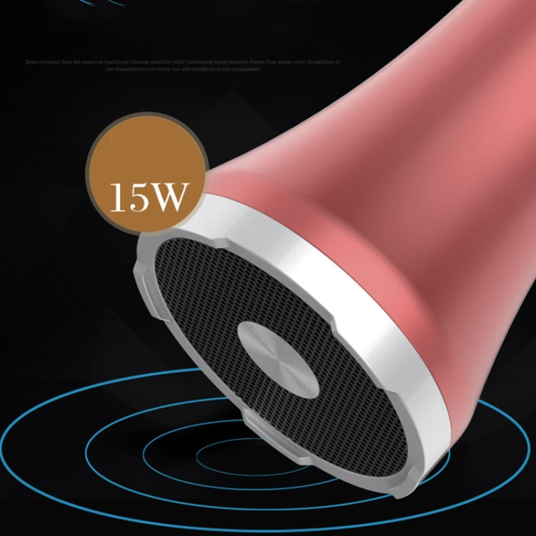 FM Radio Frequency Connection Car Home Entertainment Wireless Integrated Microphone Audio