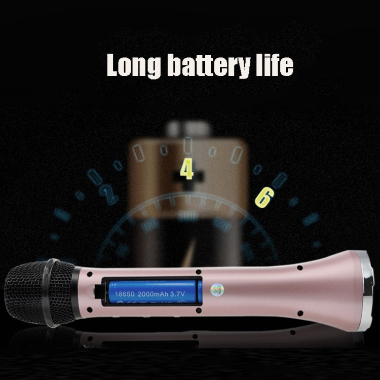 FM Radio Frequency Connection Car Home Entertainment Wireless Integrated Microphone Audio