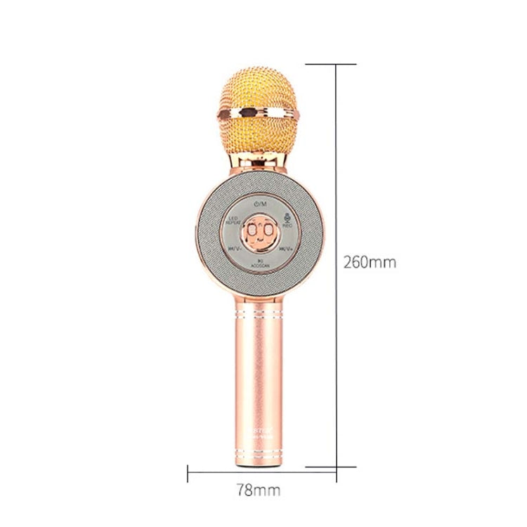 WS668 Wireless Bluetooth Microphone Mobile Phone K Song KTV Live Recording Microphone Audio