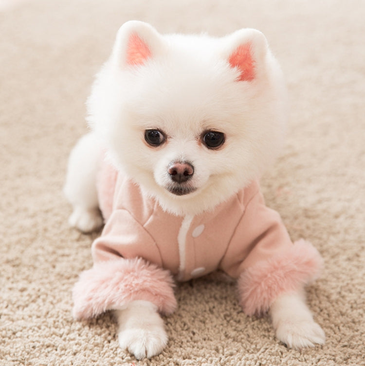Puppy Dog Tang Suit Warm Clothes Teddy Autumn and Winter Clothes Pet Padded Princess Skirt, Size: S