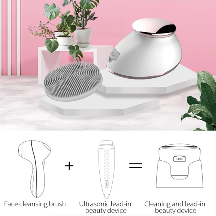 Electric Silicone Cleansing Instrument Facial Pore Cleaner Thermal Beauty Instrument(White)