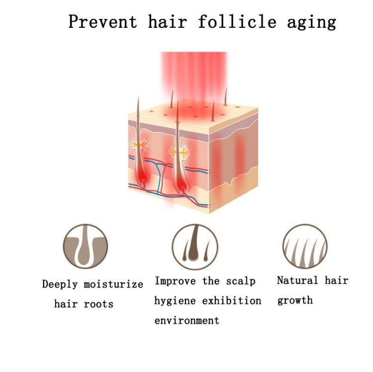 RF Hair Growth Comb Scalp Oil Control & Anti-Hair Loss Massager English Manual