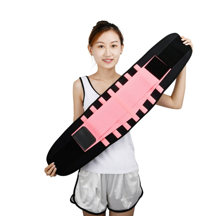 Breathable Mesh Warm Waist Belt Reinforced Steel Plate Support Sports Waist Belt, Specification: L