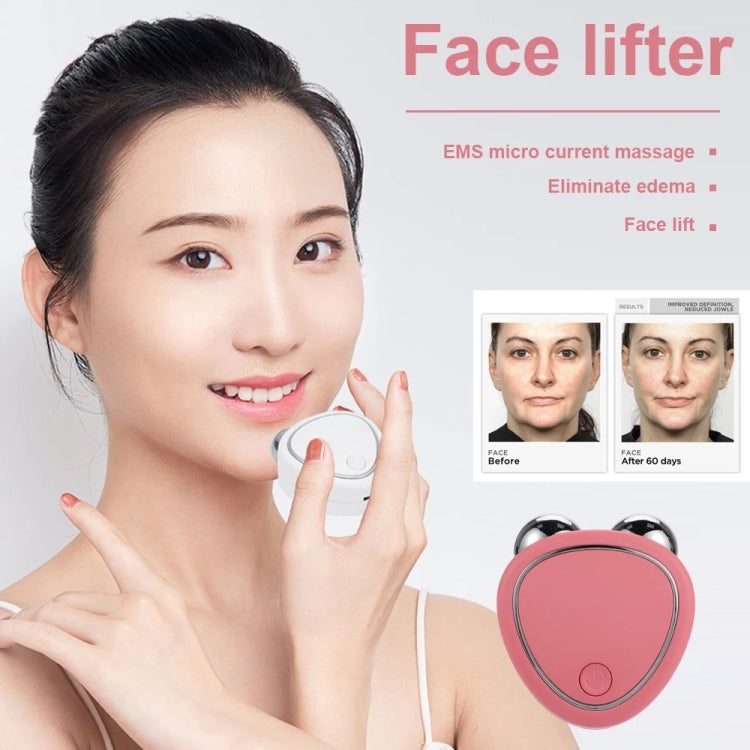 Portable Facial Micro-Current Beauty Instrument For Lifting Firming Thinning Double Roller Massage Instrument