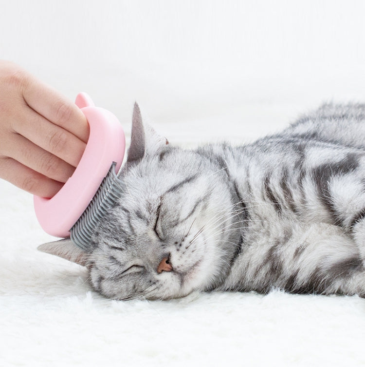 2 PCS Pet Lice Comb Cat Hair Removal Comb Pet Massage Supplies