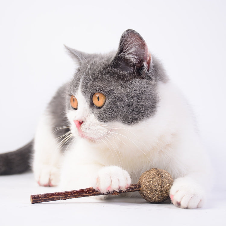 2 PCS Baseball Pet Toys Cat Snacks Claw Training Toys(Lollipop)