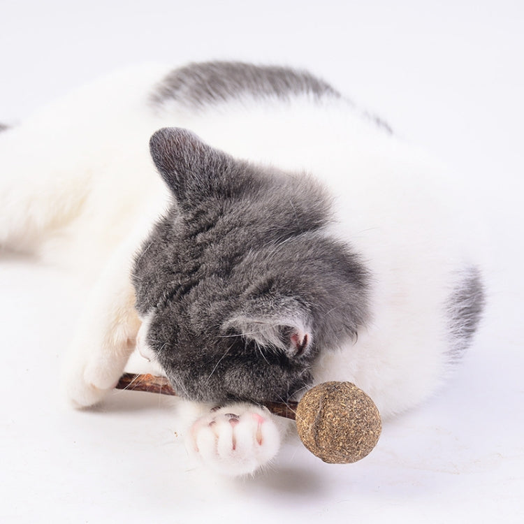 2 PCS Baseball Pet Toys Cat Snacks Claw Training Toys(Lollipop)