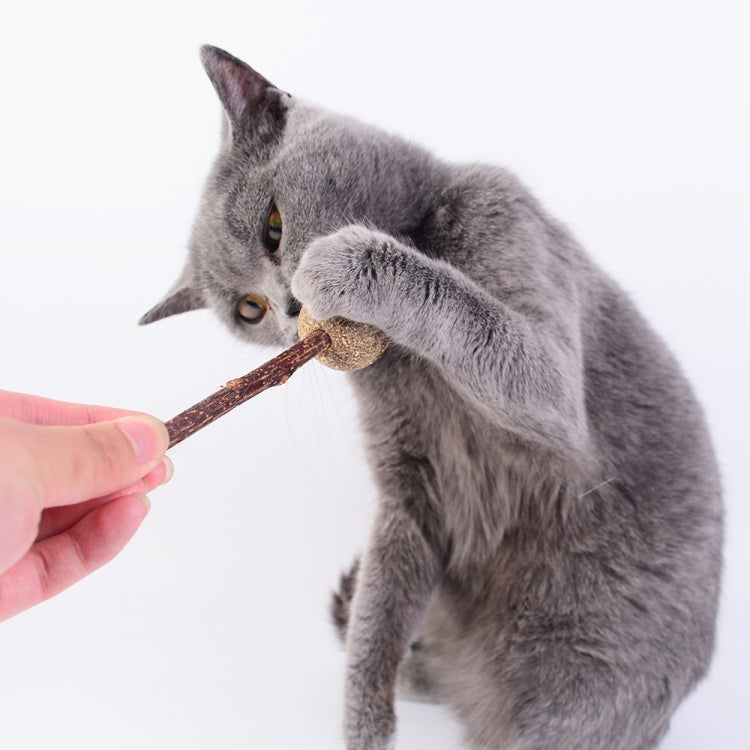 2 PCS Baseball Pet Toys Cat Snacks Claw Training Toys(Lollipop)