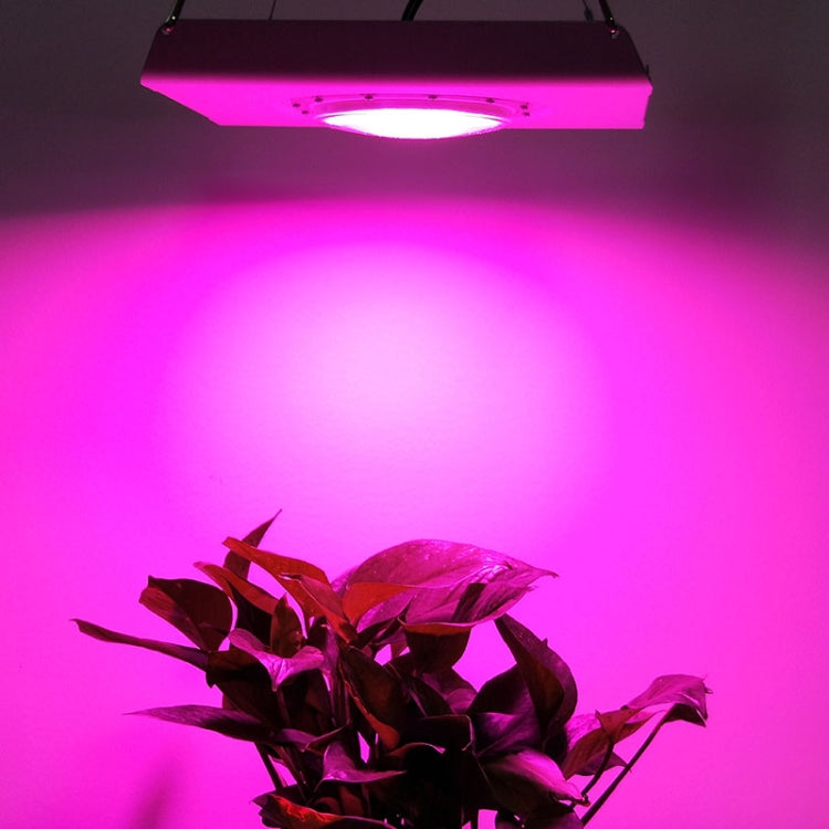 75W Plant Growth Light Ultra-Thin High-Brightness Full-Spectrum COB Indoor Greenhouse Light Without Plug