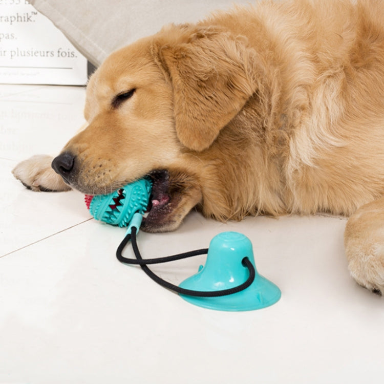 Dogs Leaking Food Toys Pets Outdoor Chewing Teeth Suckers Toys